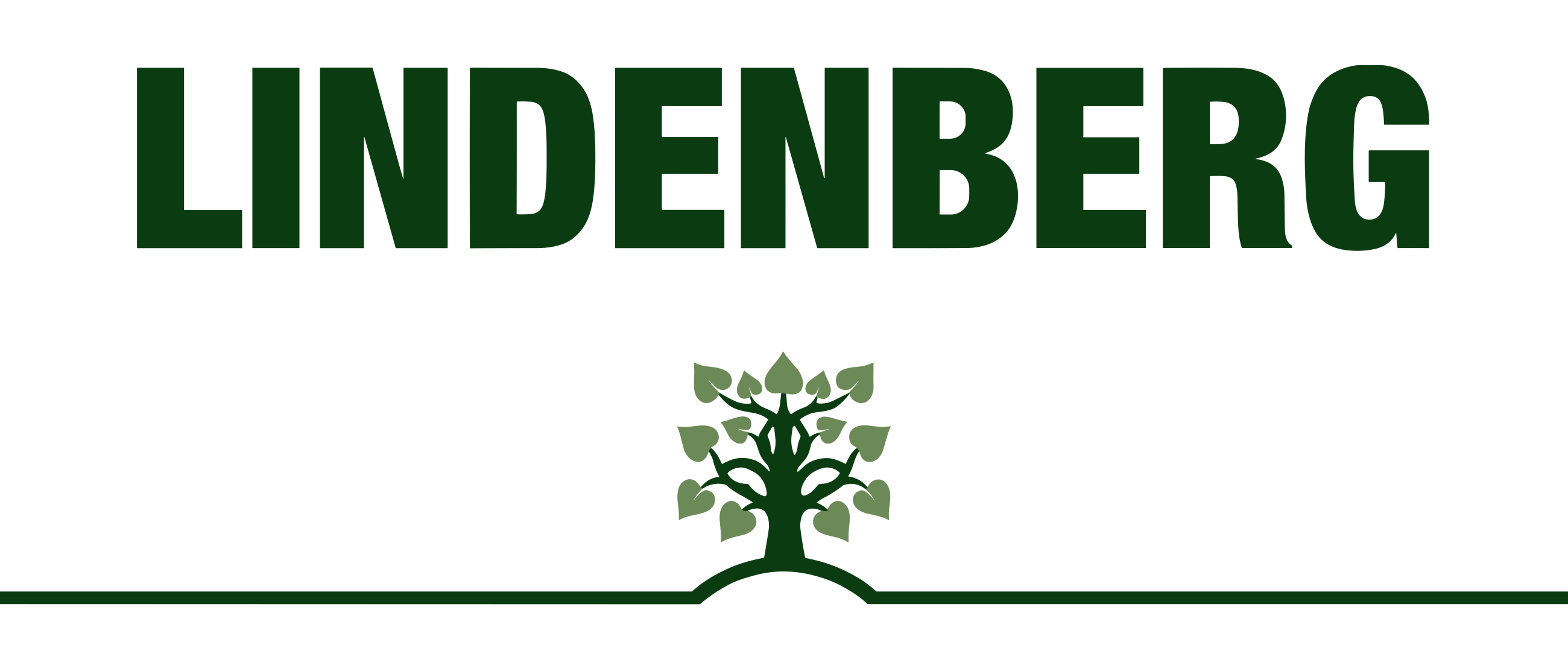 A.u.E. Lindenberg GmbH & Co. KG